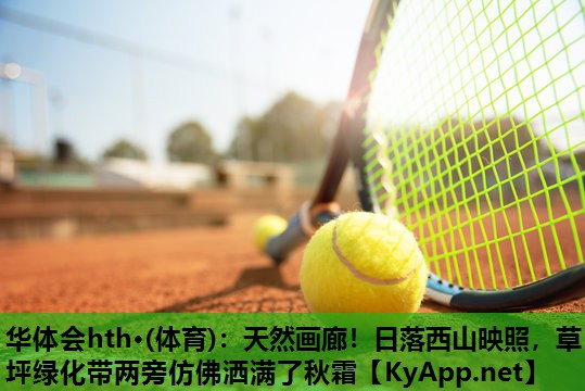 天然画廊!日落西山映照,草坪绿化带两旁仿佛洒满了秋霜 天然画廊!日落西山映照,草坪绿化带两旁仿佛洒满了秋霜