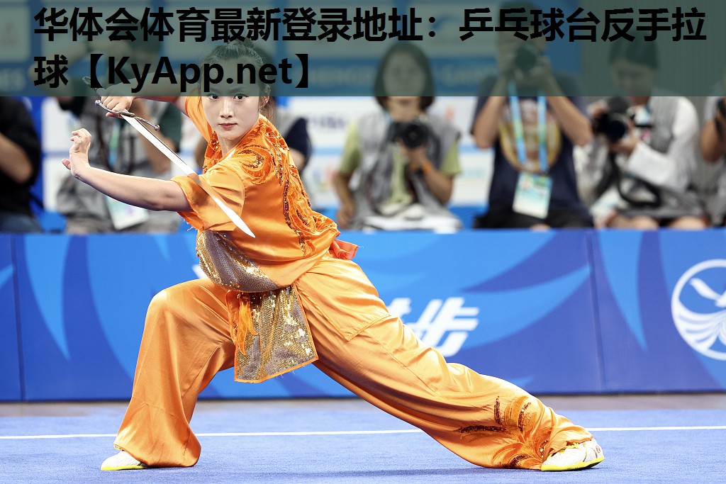 乒乓球台反手拉球 乒乓球台反手拉球
