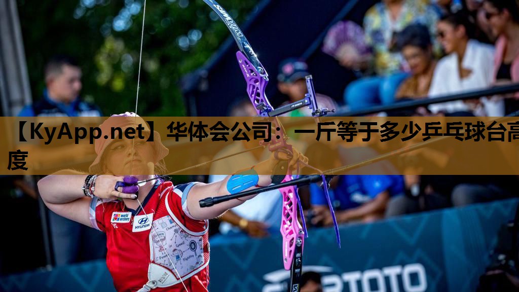 一斤等于多少乒乓球台高度 一斤等于多少乒乓球台高度