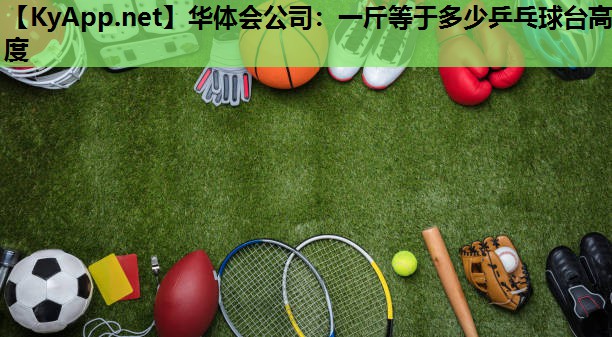 一斤等于多少乒乓球台高度 一斤等于多少乒乓球台高度