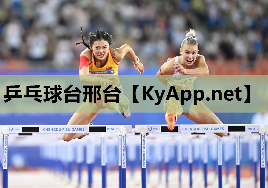 乒乓球台邢台 乒乓球台邢台
