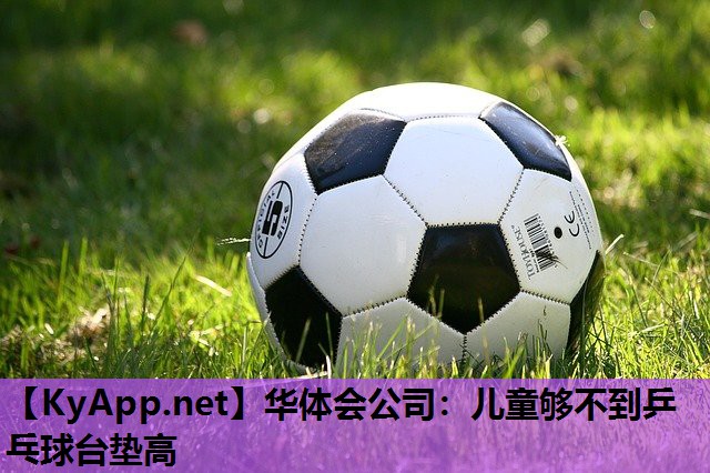 儿童够不到乒乓球台垫高 儿童够不到乒乓球台垫高