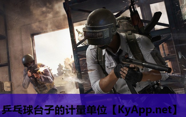 乒乓球台子的计量单位 乒乓球台子的计量单位