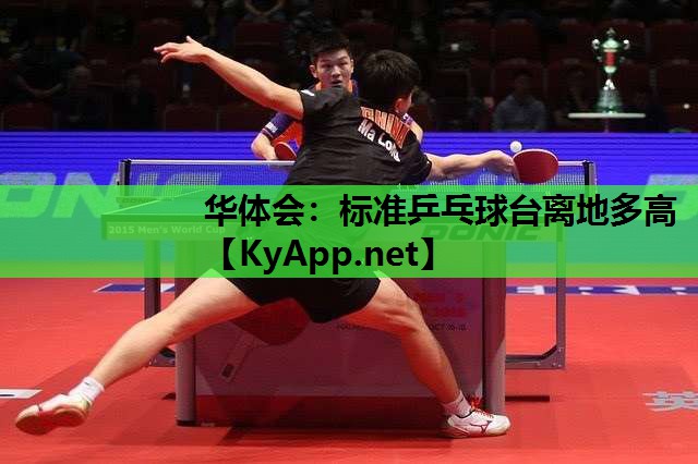 标准乒乓球台离地多高 标准乒乓球台离地多高
