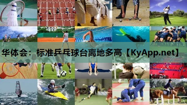 标准乒乓球台离地多高 标准乒乓球台离地多高