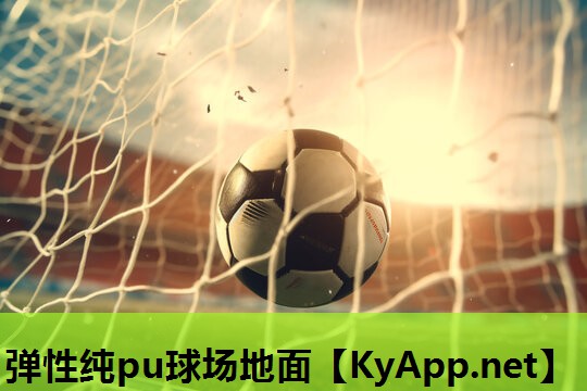 弹性纯pu球场地面 弹性纯pu球场地面
