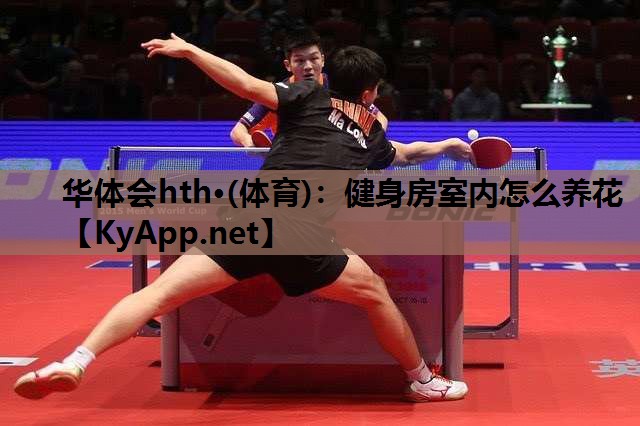 健身房室内怎么养花 健身房室内怎么养花