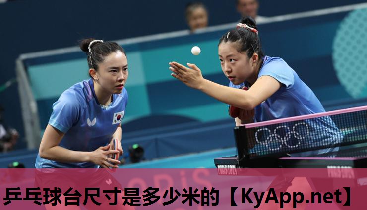 乒乓球台尺寸是多少米的 乒乓球台尺寸是多少米的