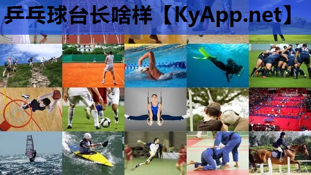 乒乓球台长啥样 乒乓球台长啥样