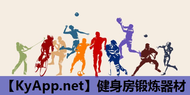 健身房锻炼器材 健身房锻炼器材