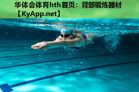背部锻炼器材 背部锻炼器材