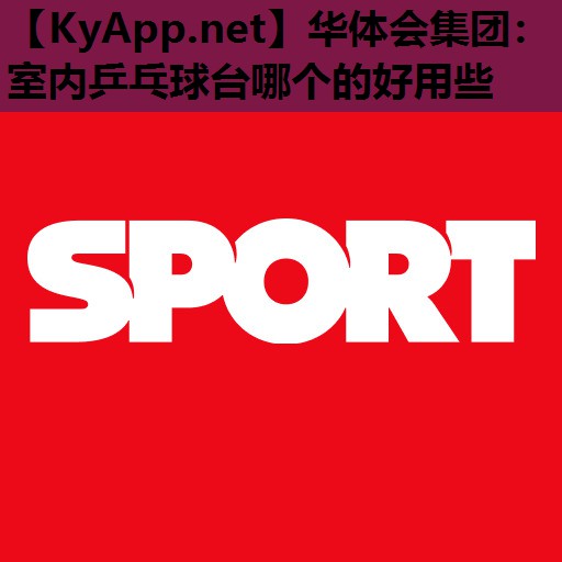 室内乒乓球台哪个的好用些