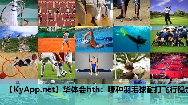 哪种羽毛球耐打飞行稳定 哪种羽毛球耐打飞行稳定