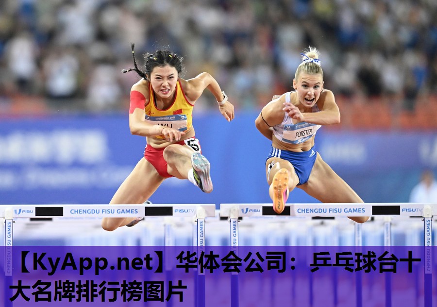 乒乓球台十大名牌排行榜图片 乒乓球台十大名牌排行榜图片