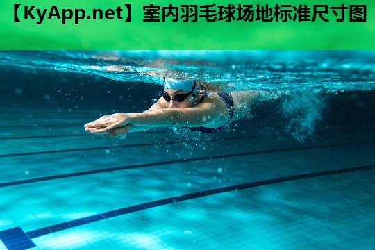 室内羽毛球场地标准尺寸图 室内羽毛球场地标准尺寸图