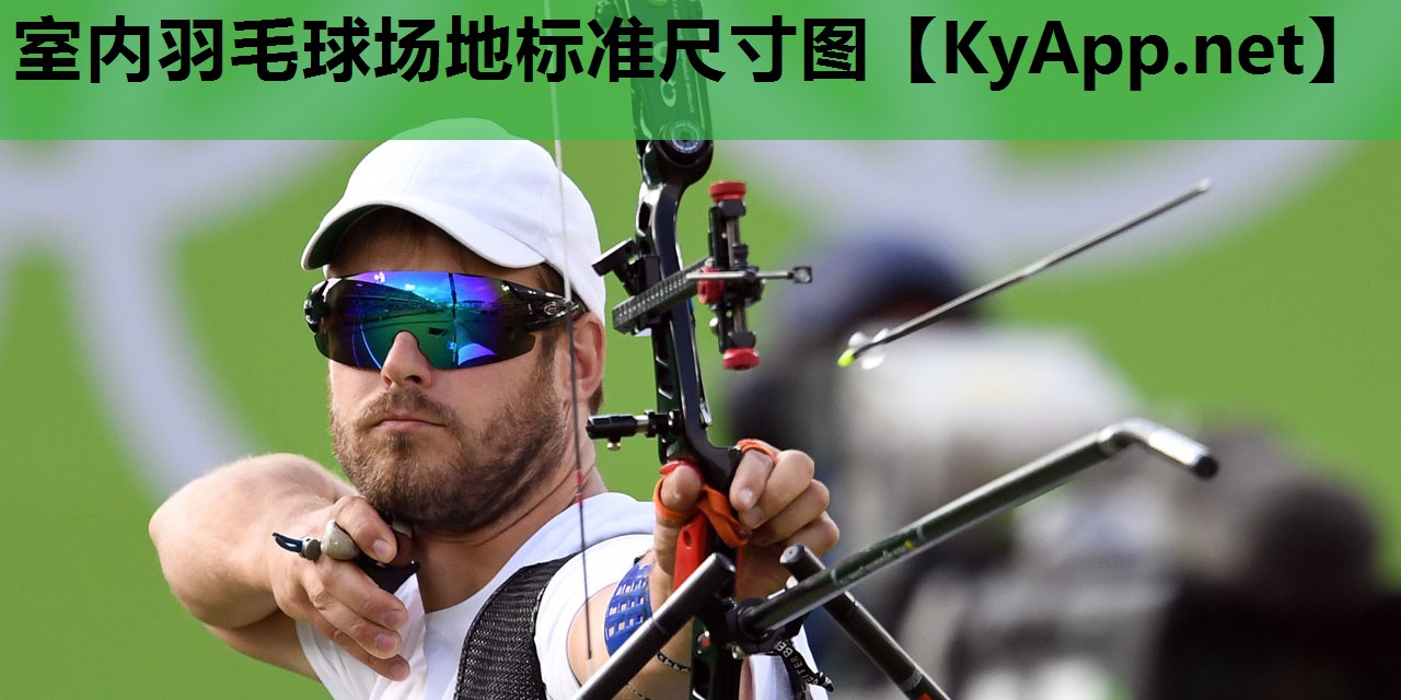 室内羽毛球场地标准尺寸图 室内羽毛球场地标准尺寸图