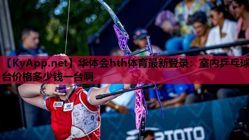 室内乒乓球台价格多少钱一台啊