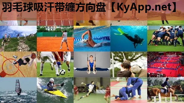羽毛球吸汗带缠方向盘 羽毛球吸汗带缠方向盘