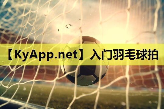 入门羽毛球拍 入门羽毛球拍
