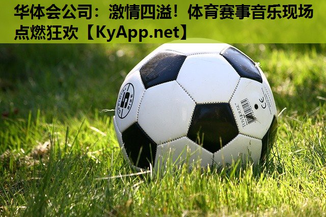 激情四溢!体育赛事音乐现场点燃狂欢 激情四溢!体育赛事音乐现场点燃狂欢
