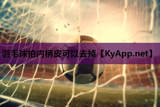 羽毛球拍内柄皮可以去掉 羽毛球拍内柄皮可以去掉