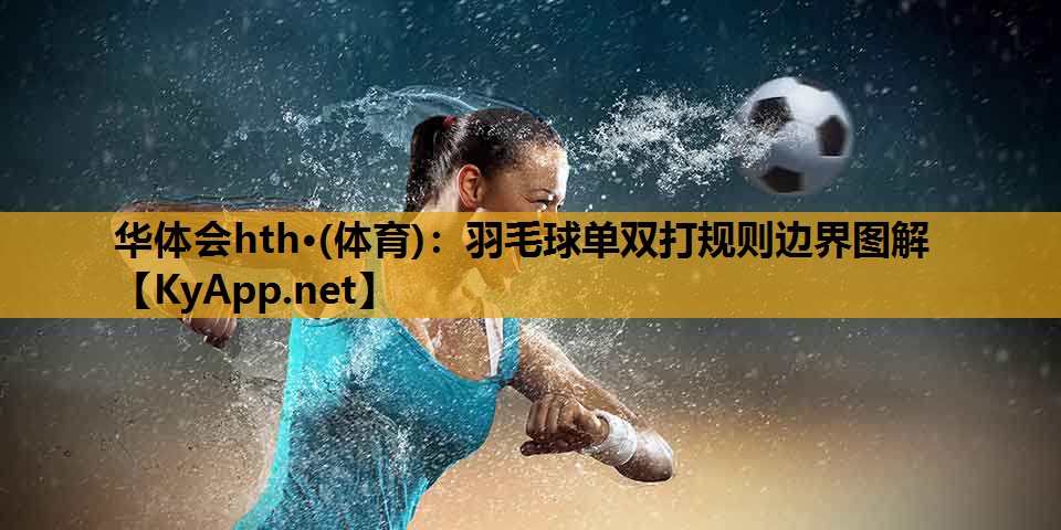 羽毛球单双打规则边界图解 羽毛球单双打规则边界图解