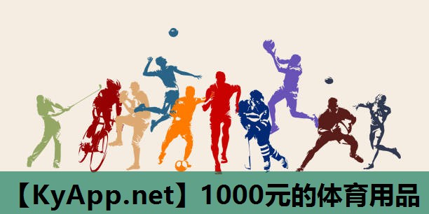 1000元的体育用品 1000元的体育用品