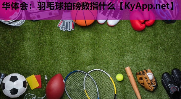 羽毛球拍磅数指什么 羽毛球拍磅数指什么
