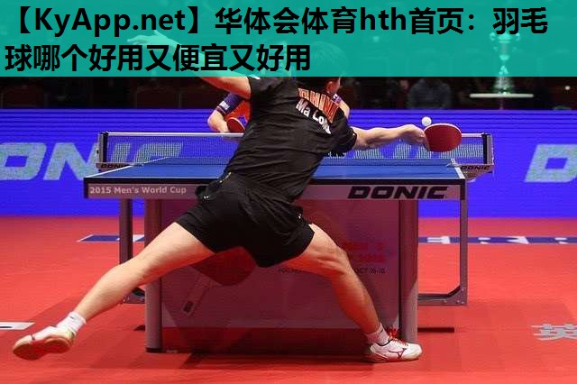 羽毛球哪个好用又便宜又好用 羽毛球哪个好用又便宜又好用