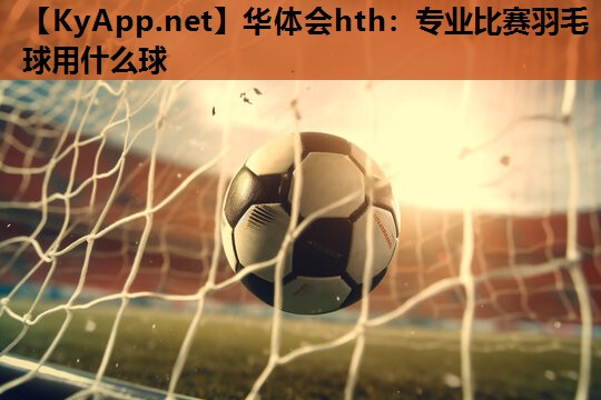专业比赛羽毛球用什么球 专业比赛羽毛球用什么球