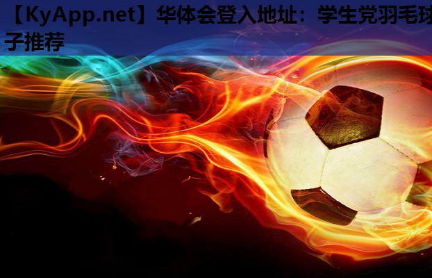 学生党羽毛球子推荐 学生党羽毛球子推荐