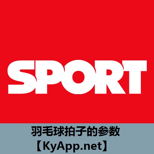 羽毛球拍子的参数 羽毛球拍子的参数