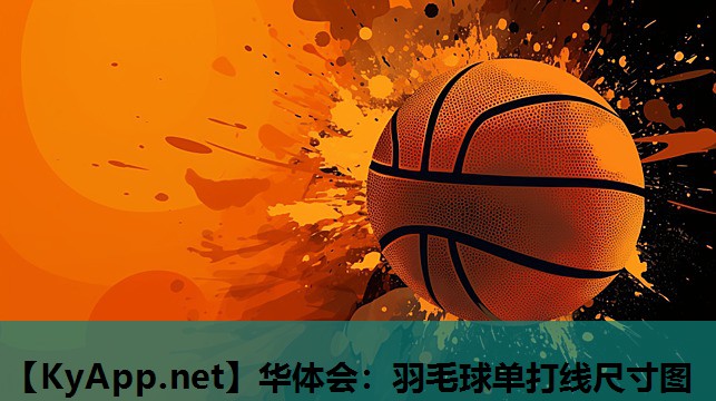 羽毛球单打线尺寸图 羽毛球单打线尺寸图