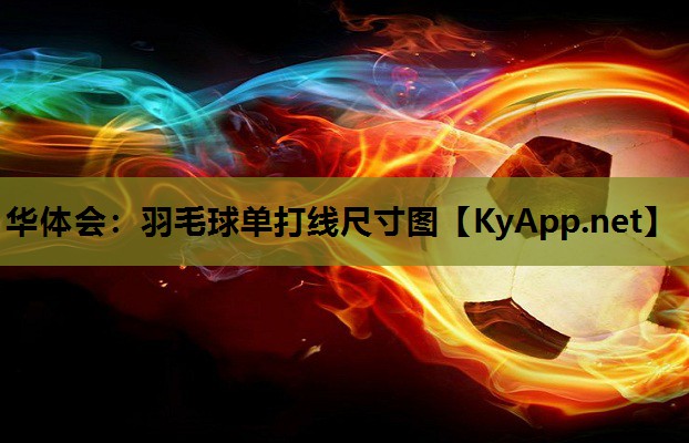 羽毛球单打线尺寸图 羽毛球单打线尺寸图