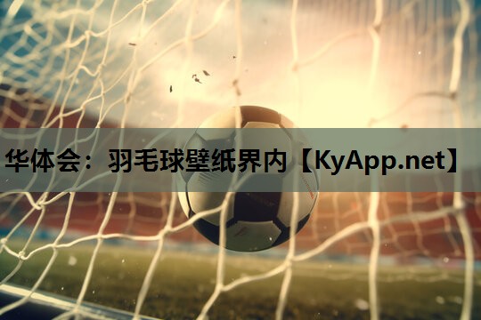 羽毛球壁纸界内 羽毛球壁纸界内