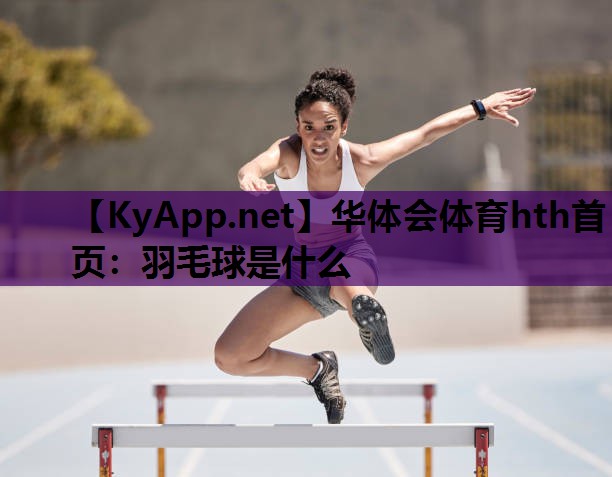 羽毛球是什么 羽毛球是什么