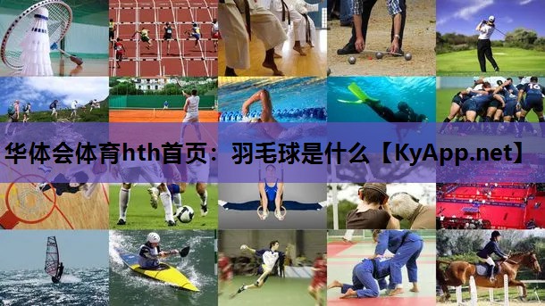 羽毛球是什么 羽毛球是什么