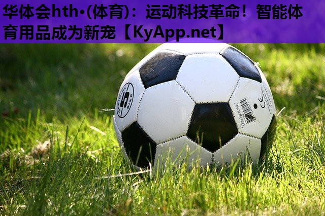 运动科技革命!智能体育用品成为新宠 运动科技革命!智能体育用品成为新宠