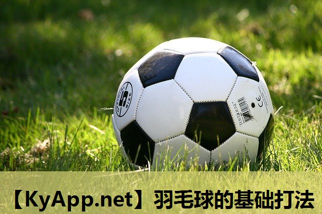 羽毛球的基础打法 羽毛球的基础打法
