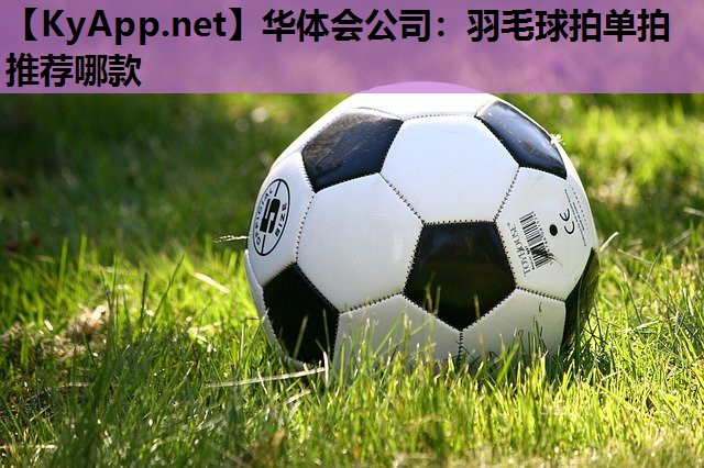 羽毛球拍单拍推荐哪款 羽毛球拍单拍推荐哪款